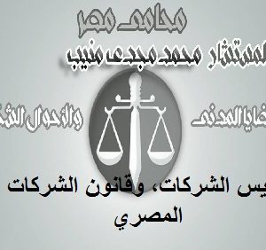 تأسيس الشركات، وقانون الشركات المصري