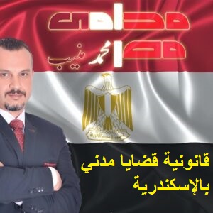 محامي استشارات قانونية قضايا مدني بالإسكندرية