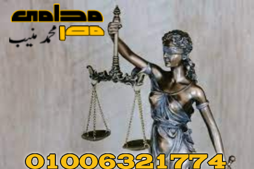 محامون متخصصون في الطلاق في مصر