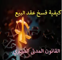  فسخ عقد البيع